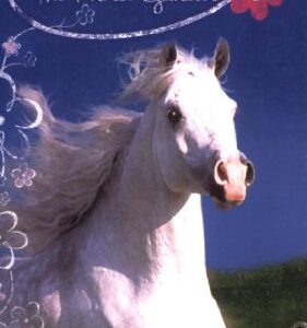 Winnie The Horse Gentler