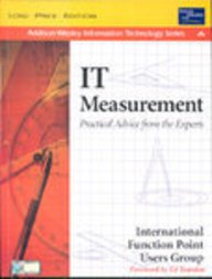 It Measurement Practical Advice From The Experts