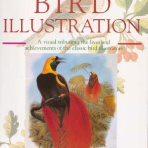 The Art Of Bird Illustration
