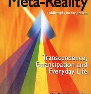 Reflections On Meta Reality