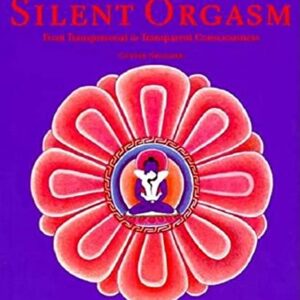 Silent Orgasm