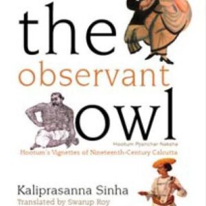 The Observant Owl