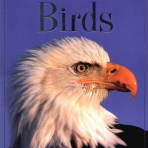 Internet Linked Birds