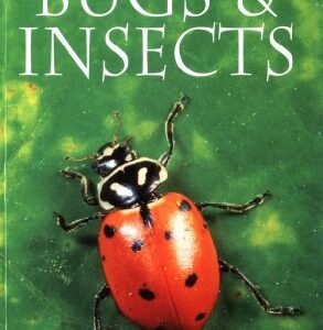 Bugs & Insects