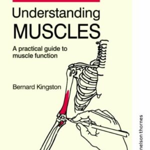 Understanding Muscles