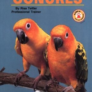 Taming And Taming Conures