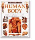 Human Body