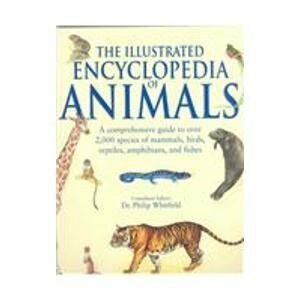 The Illustrated Encyclopedia Of Animals