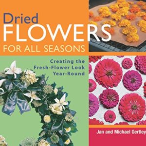 Dried Flowers For All Seasons