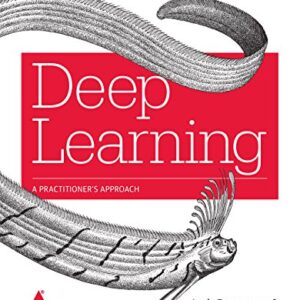 DEEP LEARNIING A PRACTITIONERS APPROACH