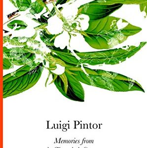 MEMORIES FROM THE TWENTIETH