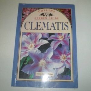 Clematis