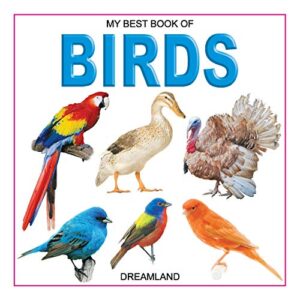 My Best Book Of Birds