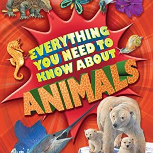 Everything You Need To Know About Animals
