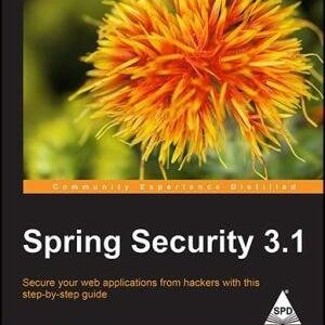 Spring Security 3.1