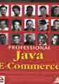 Professional Java E Commerce