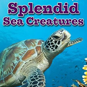 ICKY STICKY READERS : SPLENDID  SEA CREATURES