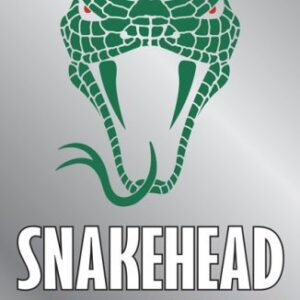 Websters French Dictionary