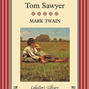 THE ADVENTURES OF TOM SAWYER