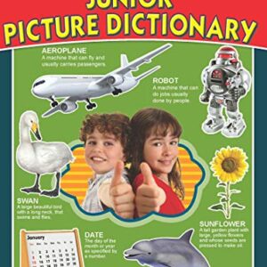 Dreamland Junior Picture Dictionary