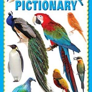 Dreamland My Jumbo Birds Pictionary