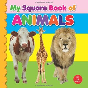 My Square Book Of Animals