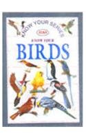 Know Your Series Know Your Birds