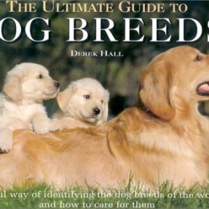 The Ultimate Guide To Dog Breeds