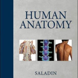 Human Anatomy