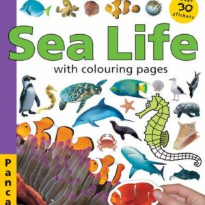 Pancake Sticker Activity Sea Life