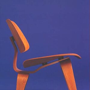 Modern Chairs