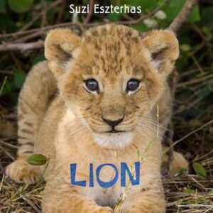 EYE ON THE WILD LION