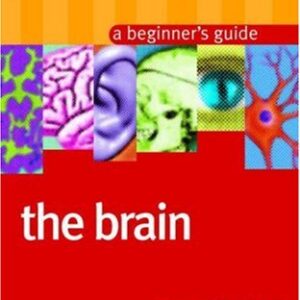 A Beiginners Guide The Brain