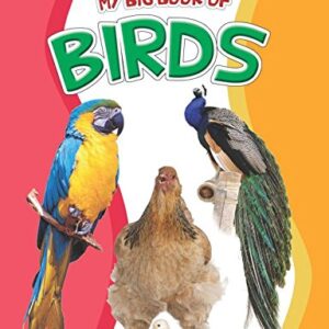 DREAMLAND MY BIG BOOK OF BIRDS