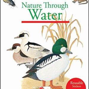 Live Honest Become Rich