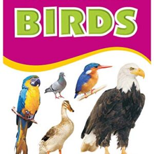 My Charming Board Book Of Birds