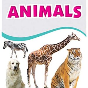 My Charming Board Book Of Animals