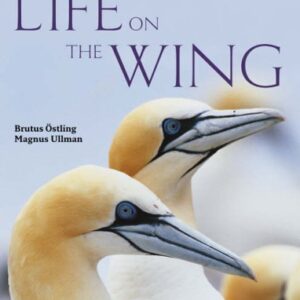 Life On The Wing