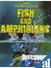 Fish & Amphibians Young Discoverer Series