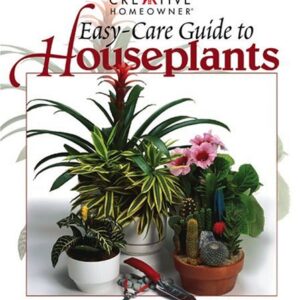 Easy Care Guide To Houseplants