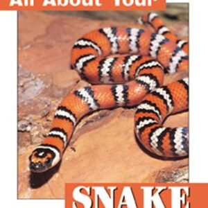 All About Your Snake