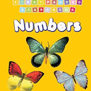 First Padded Boardbook Numbers