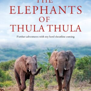 Elephants of Thula Thula