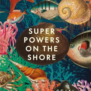 Superpowers on the Shore