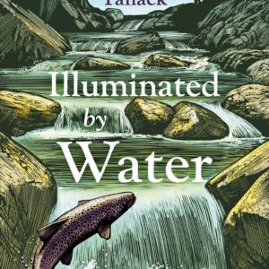 Illuminated By Water